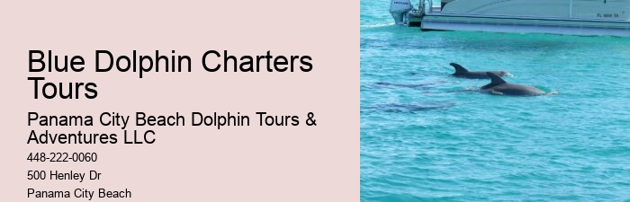 Dolphin Tours Near Panama City Beach