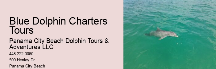 Split Exclusive Charters For Dolphin And Snorkeling Adventures