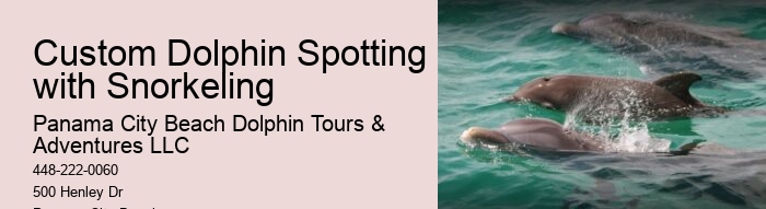 Shell Island Dolphin