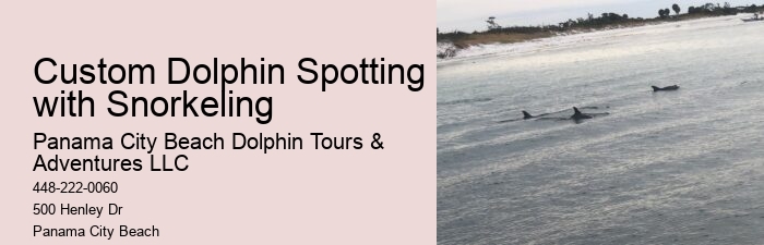 Panama City Beach dolphin discovery cruises