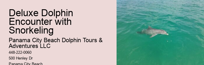 Panama City Beach Dolphin Discovery Adventures