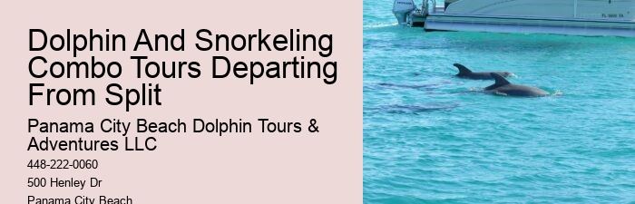 Deluxe Dolphin Safari and Snorkeling Trips