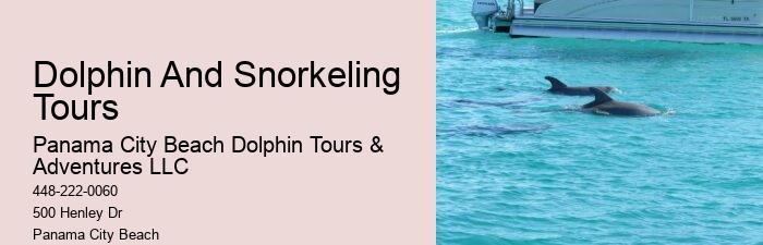 Dolphin And Snorkeling Day Trips From Split