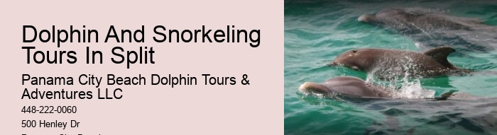 Split Educational Dolphin And Snorkeling Cruises