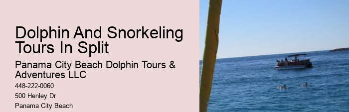 Panama City Beach dolphin watching voyages
