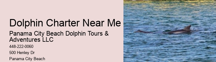 Dolphin sightseeing adventures in Panama City Beach