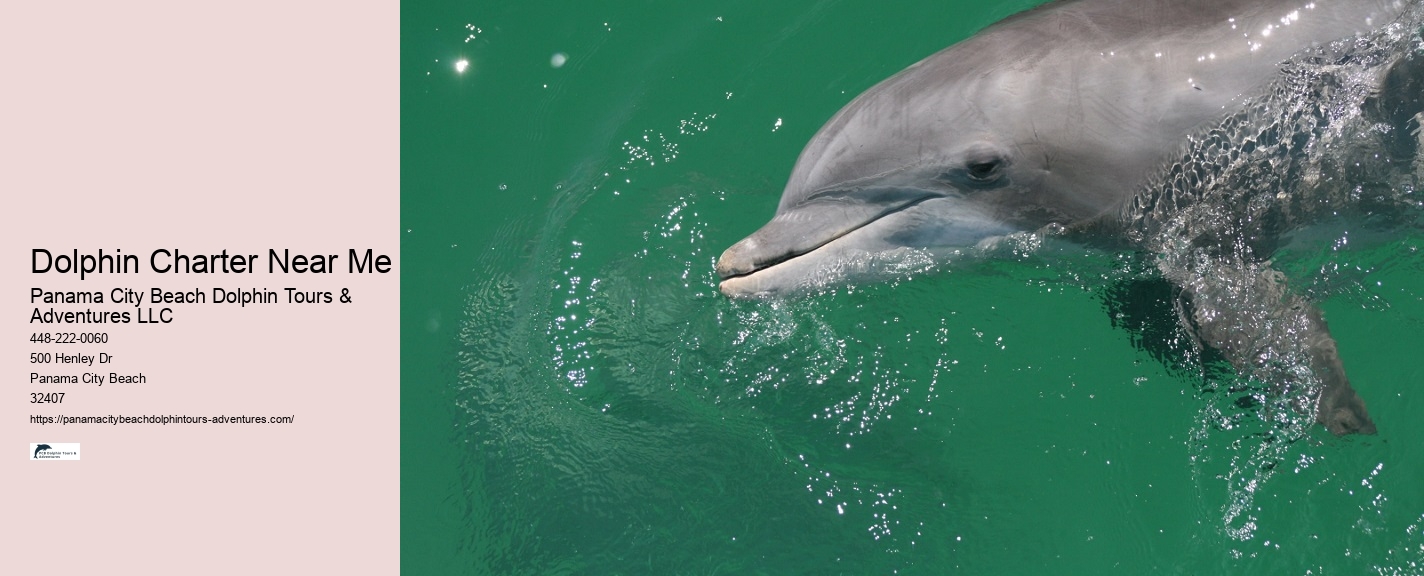 How far in advance should I book a dolphin tour in Panama City Beach