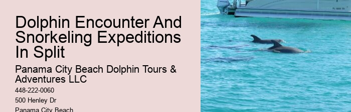Best Sunset Dolphin Cruise Panama City Beach