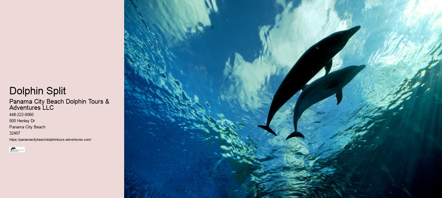 Is there a restroom on board the dolphin tour boats