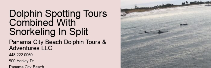 Panama City Beach dolphin excursions
