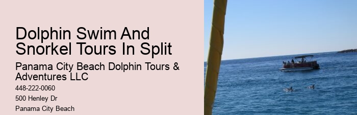 Split Catamaran Tours For Dolphin Watching And Snorkeling