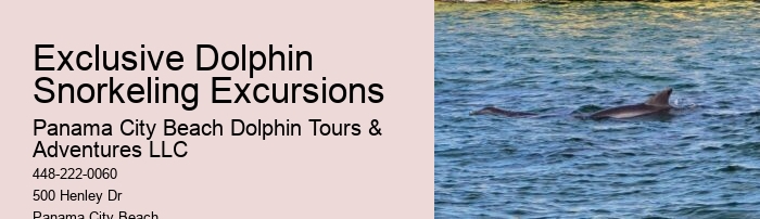 Feeding Or Harassing Marine Mammals In The Wild