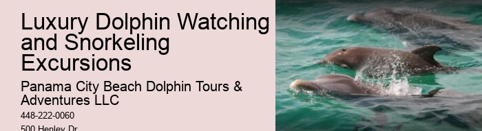 PCB Dolphin Spotting Cruises