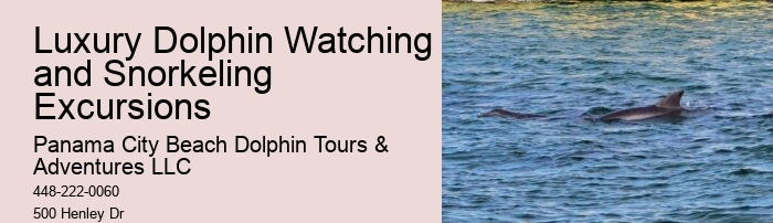 Panama City Beach Boat Tours To Shell Island