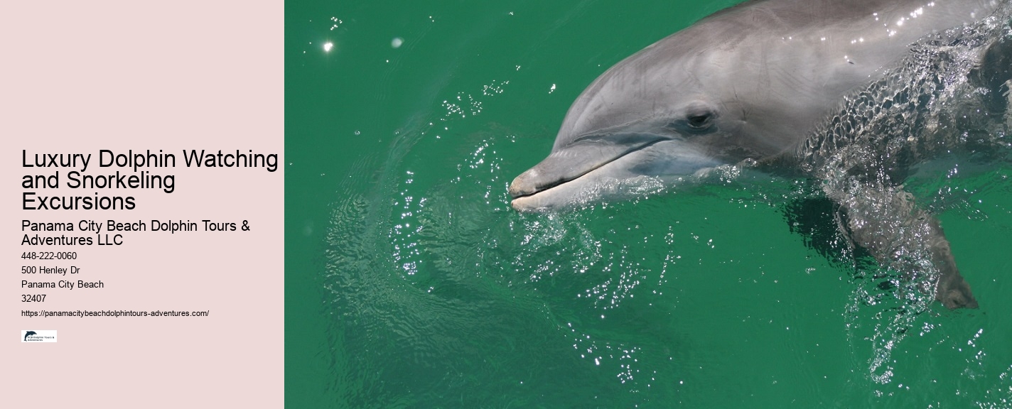 How Do You Spot Dolphins On A Cruise