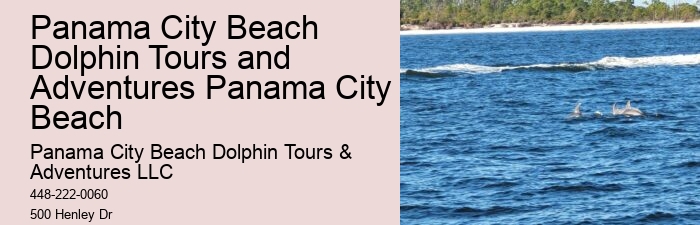 Panama City Beach Dolphin Trips