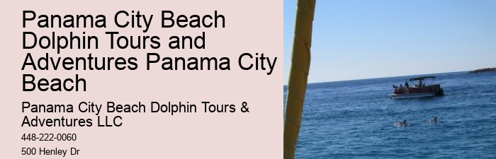 Elite Dolphin Expedition and Snorkeling Tours