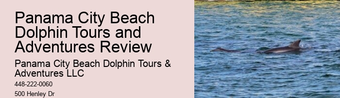Split Multi-day Sailing Trips With Dolphin Watching And Snorkeling