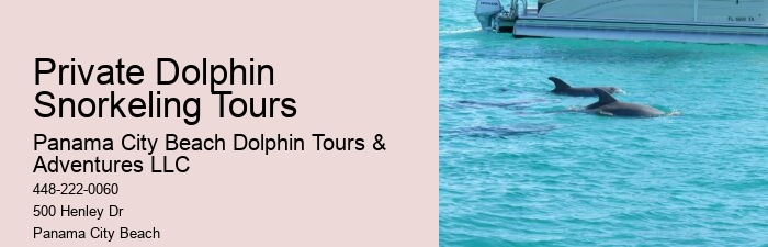Panama City Beach dolphin discovery tours