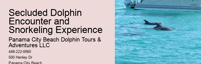 Snorkeling With Dolphins Near Me