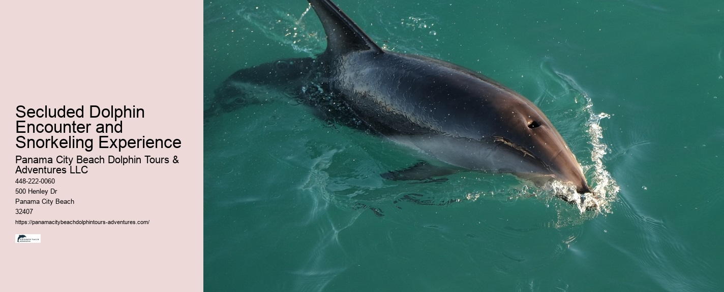 Split Boat Trips For Dolphin Watching And Snorkeling