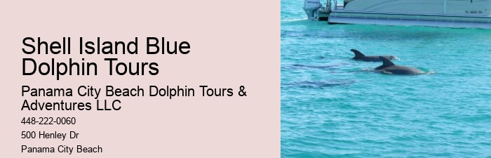 Why Is It Illegal To Interact With Dolphins