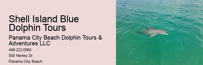 Island Excursion And Dolphin Watch