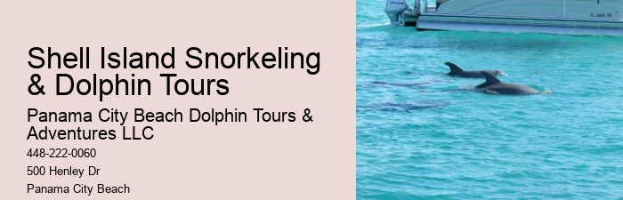 Dolphin Tours Tybee Island