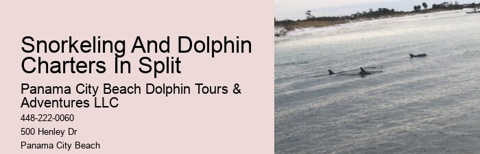 Panama City Beach dolphin spotting cruises