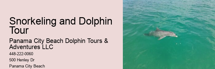 Panama City Beach Dolphin Jet Ski Tours
