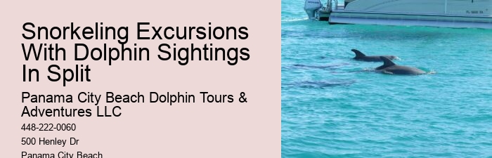 Do You Need To Know How To Swim To Swim With Wild Dolphins