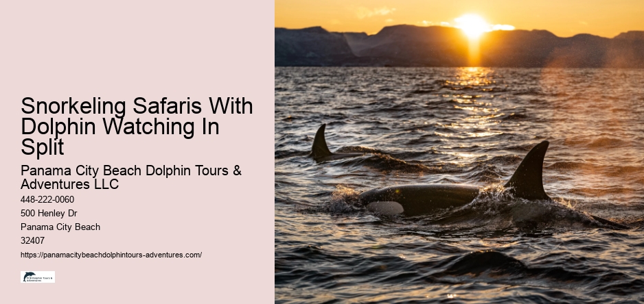 Snorkeling Safaris With Dolphin Watching In Split