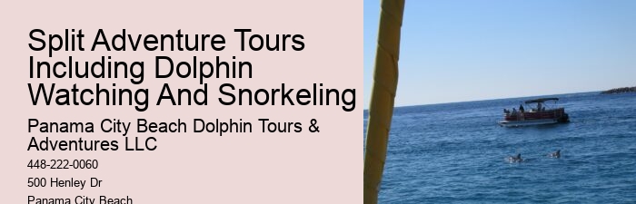 Sweet Sunsets And Dolphin Tours