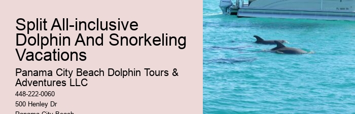 Panama City Beach Dolphin Tours & More Tours