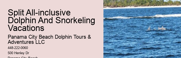 What Predator Kills Dolphins
