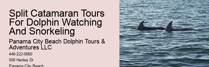 Split Private Yacht Rentals For Dolphin And Snorkeling Excursions