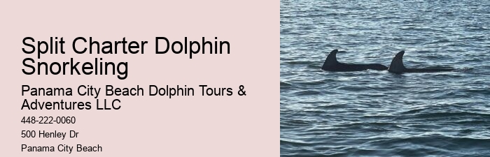 Panama City Dolphin Seafari Tours