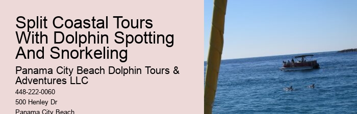 Jet Boat Dolphin Tours