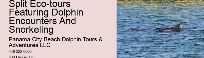 Dolphin Tours Rehoboth Beach