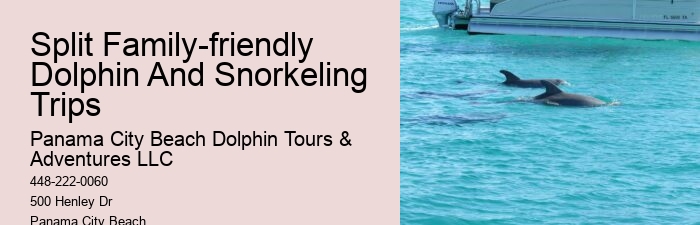 Why Do Dolphins Swim With Cruise Ships