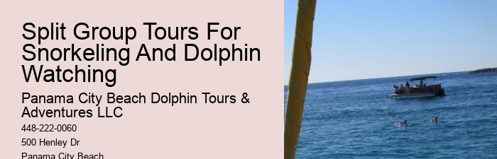 Elite Dolphin Interaction and Snorkeling Tours