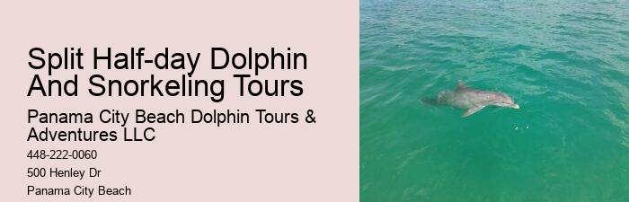 Rosemary Beach Dolphin Tours