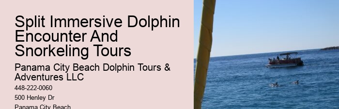 Split Bespoke Snorkeling And Dolphin Itineraries