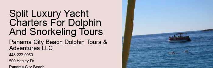 PCB Dolphin Viewing Tours