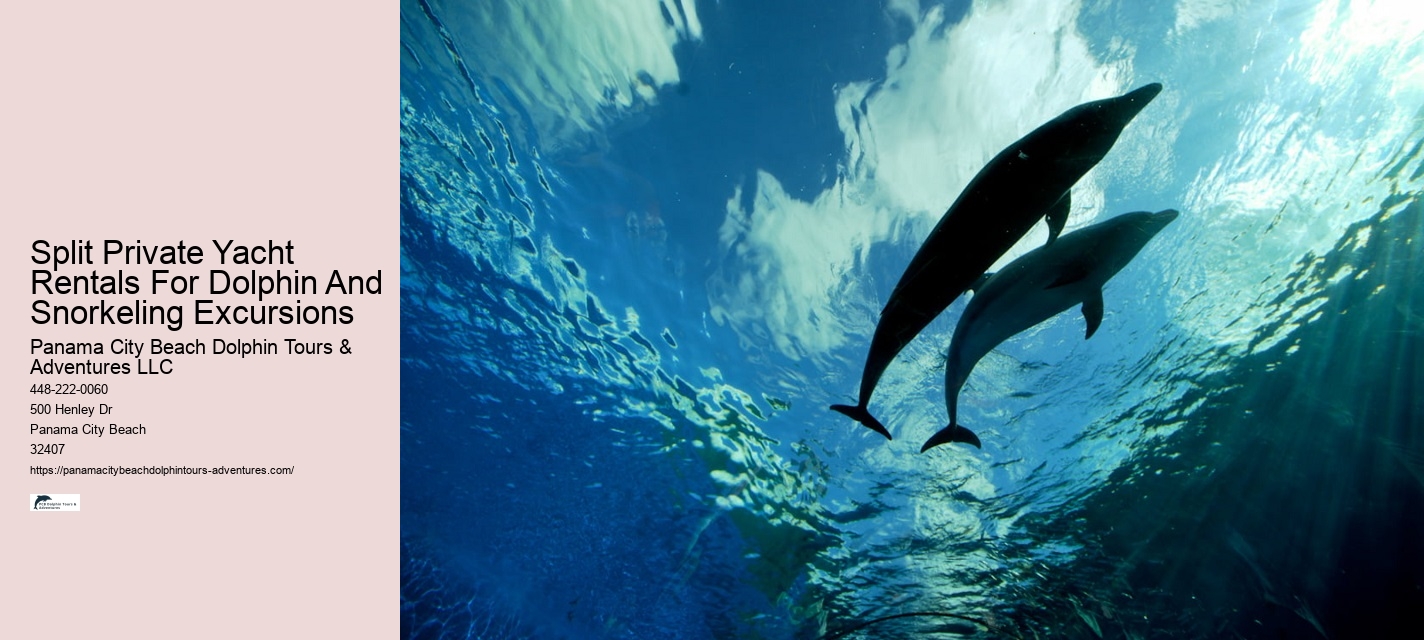 A Helping Flipper: Why Do Dolphins Save Humans