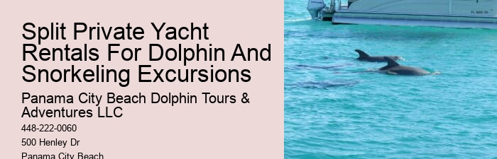 Is There A Weight Limit For Swimming With Dolphins