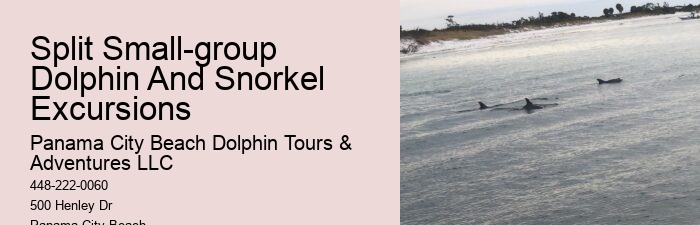 Snorkeling Safaris With Dolphin Watching In Split