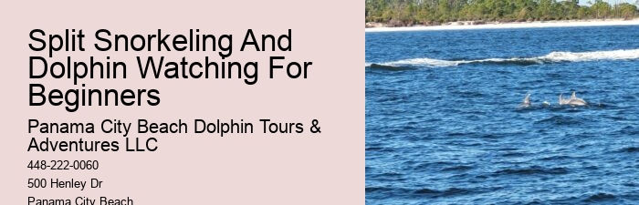 Custom Dolphin Encounter and Snorkeling