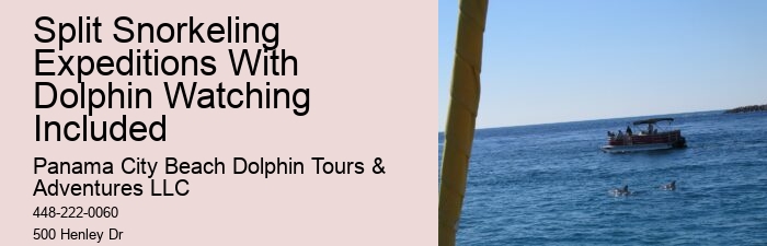 Split Luxury Dolphin And Snorkeling Yacht Charters