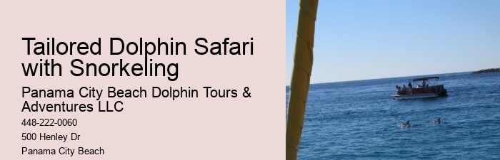 Split Adventurous Dolphin And Snorkeling Excursions